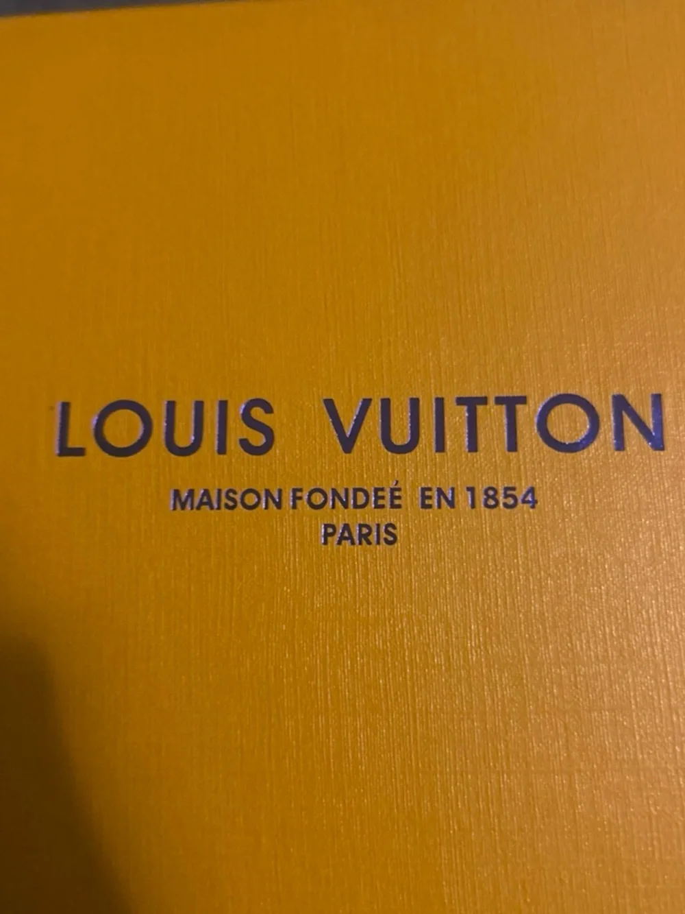 Louis Vuitton Brown Damier Ebene Zippy Coin Purse